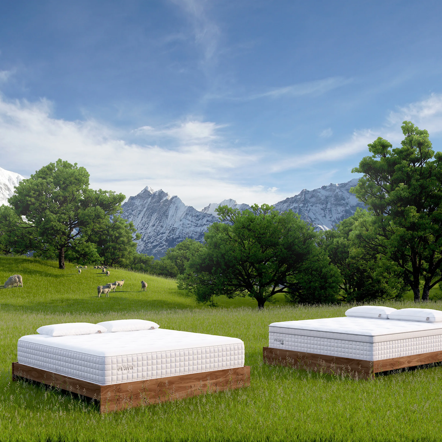 Two beds in a grassy field in the mountains with sheep in the background